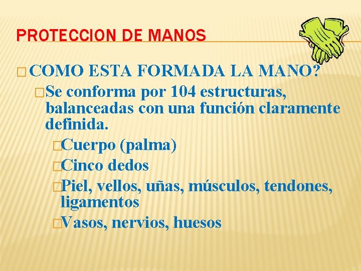 PROTECCION DE MANOS � COMO ESTA FORMADA LA MANO? �Se conforma por 104 estructuras, PROTECCION DE MANOS � COMO ESTA FORMADA LA MANO? �Se conforma por 104 estructuras,