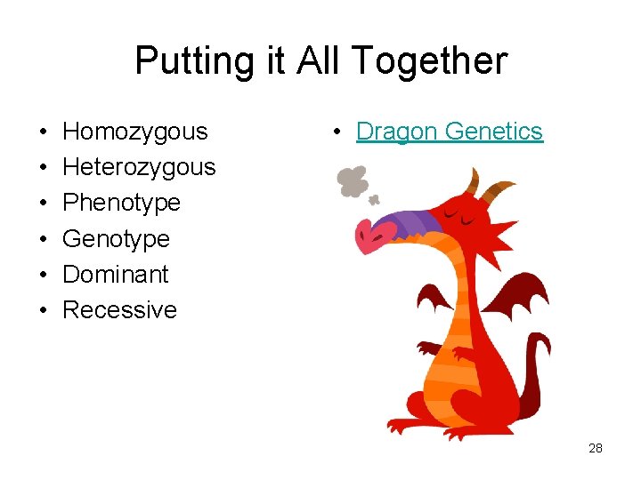 Putting it All Together • • • Homozygous Heterozygous Phenotype Genotype Dominant Recessive •