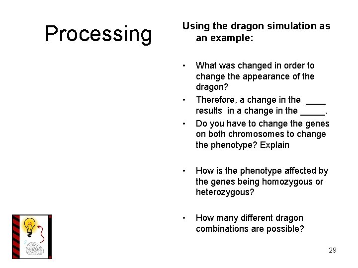 Processing Using the dragon simulation as an example: • • • What was changed