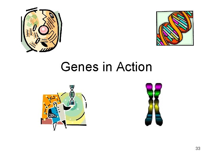 Genes in Action 33 