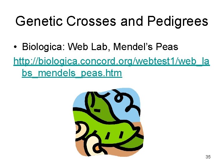 Genetic Crosses and Pedigrees • Biologica: Web Lab, Mendel’s Peas http: //biologica. concord. org/webtest