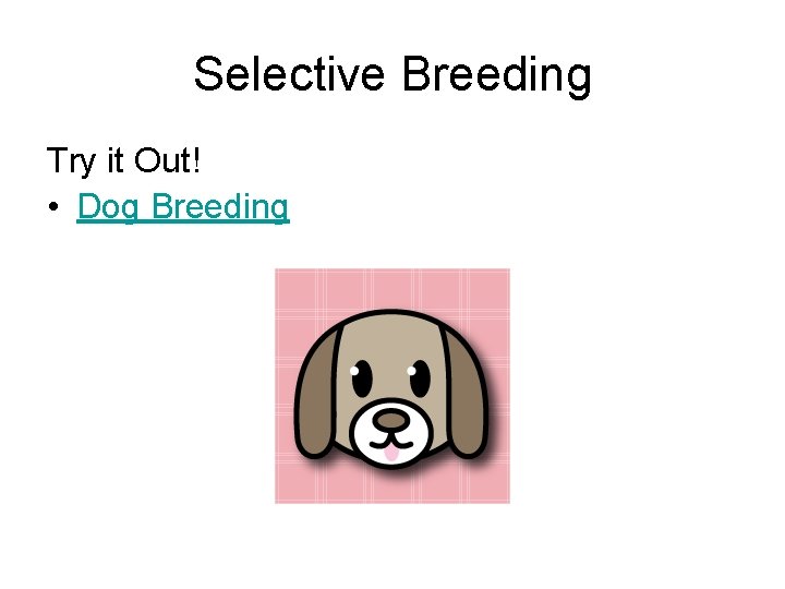 Selective Breeding Try it Out! • Dog Breeding 