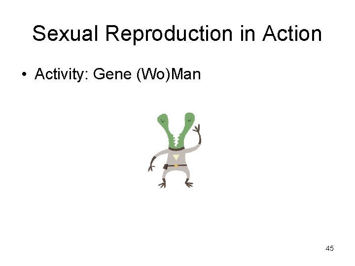 Sexual Reproduction in Action • Activity: Gene (Wo)Man 45 