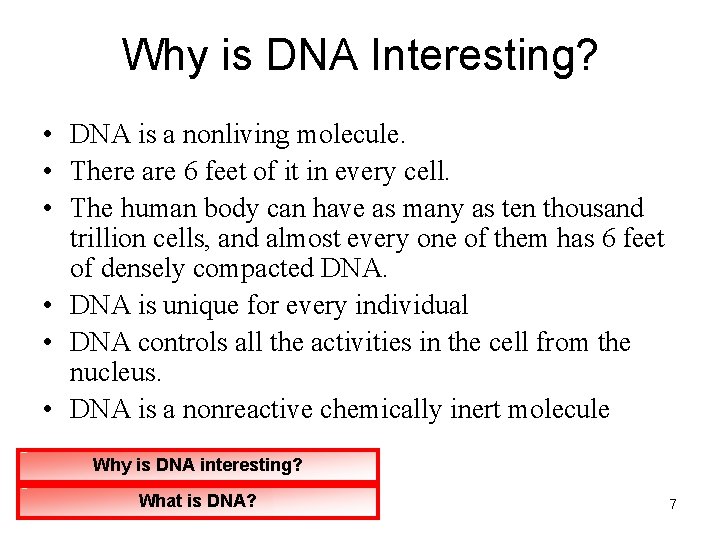 Why is DNA Interesting? • DNA is a nonliving molecule. • There are 6