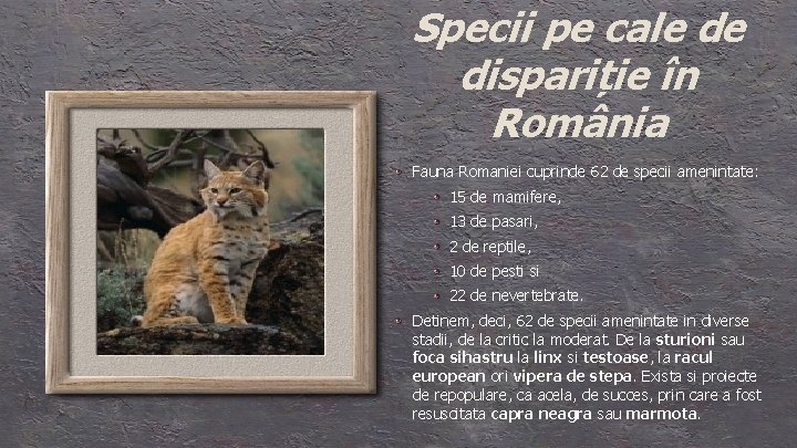 Specii pe cale de dispariție în România Fauna Romaniei cuprinde 62 de specii amenintate: