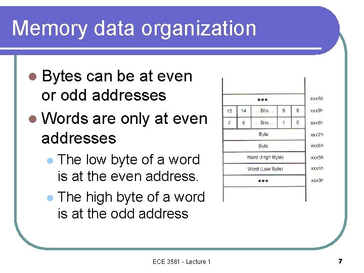 Memory data organization l Bytes can be at even or odd addresses l Words Memory data organization l Bytes can be at even or odd addresses l Words