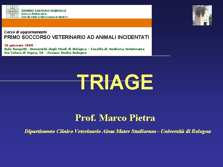 Corso di aggiornamento PRIMO SOCCORSO VETERINARIO AD ANIMALI INCIDENTATI 16 gennaio 2008 Aula Borgatti