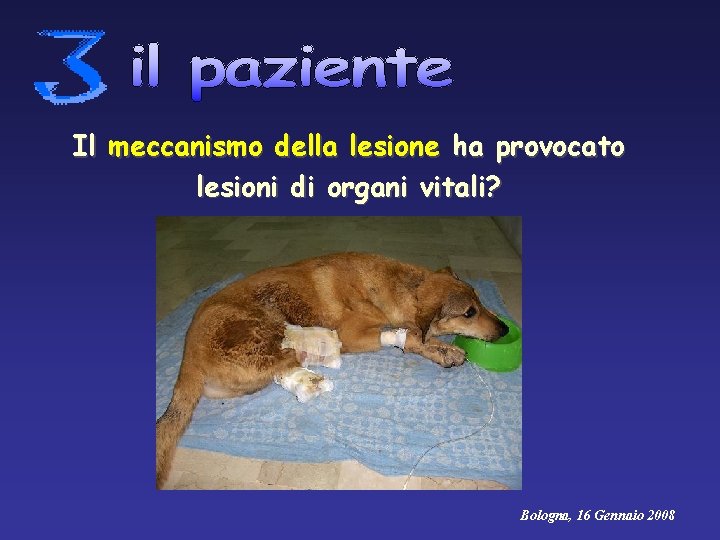 Il meccanismo della lesione ha provocato lesioni di organi vitali? Bologna, 16 Gennaio 2008