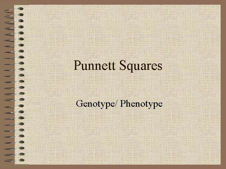 Punnett Squares Genotype/ Phenotype 