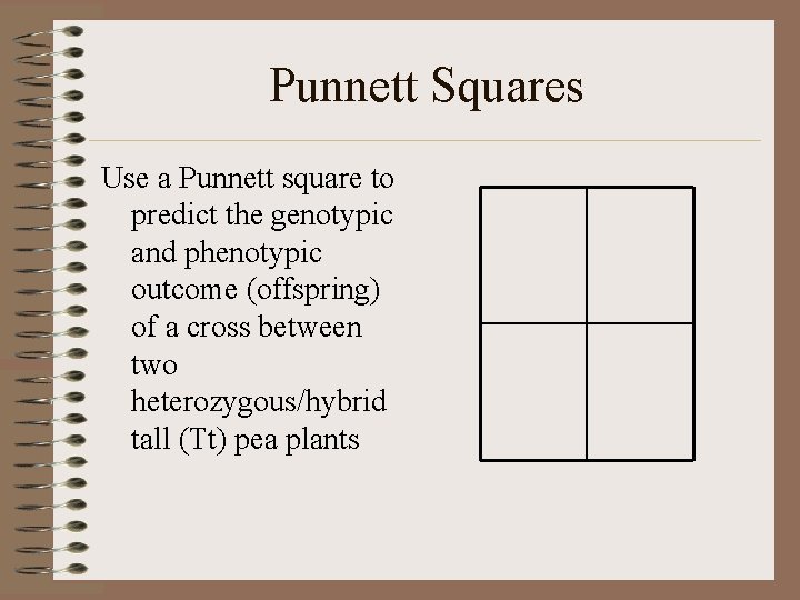 Punnett Squares Use a Punnett square to predict the genotypic and phenotypic outcome (offspring)