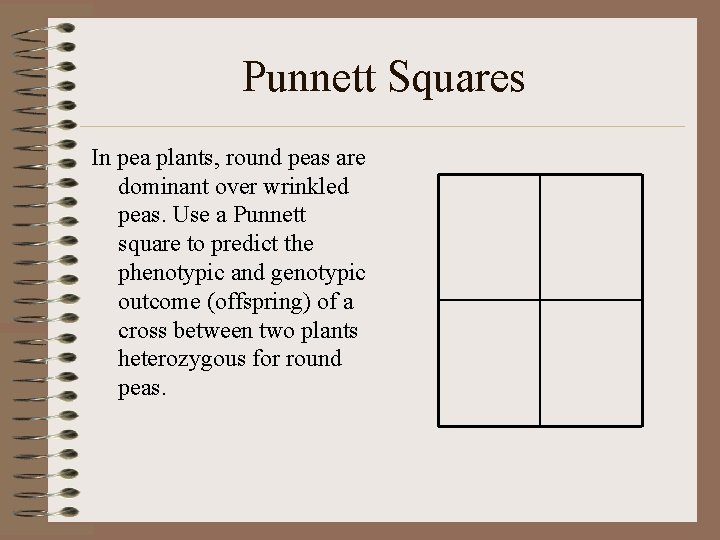 Punnett Squares In pea plants, round peas are dominant over wrinkled peas. Use a