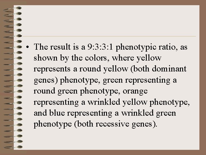  • The result is a 9: 3: 3: 1 phenotypic ratio, as shown