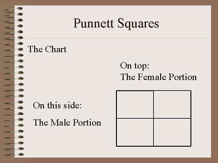 Punnett Squares The Chart On top: The Female Portion On this side: The Male