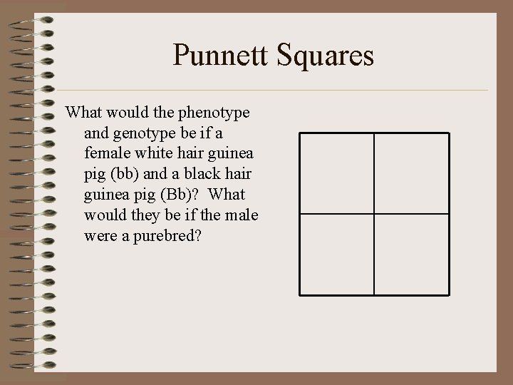 Punnett Squares What would the phenotype and genotype be if a female white hair