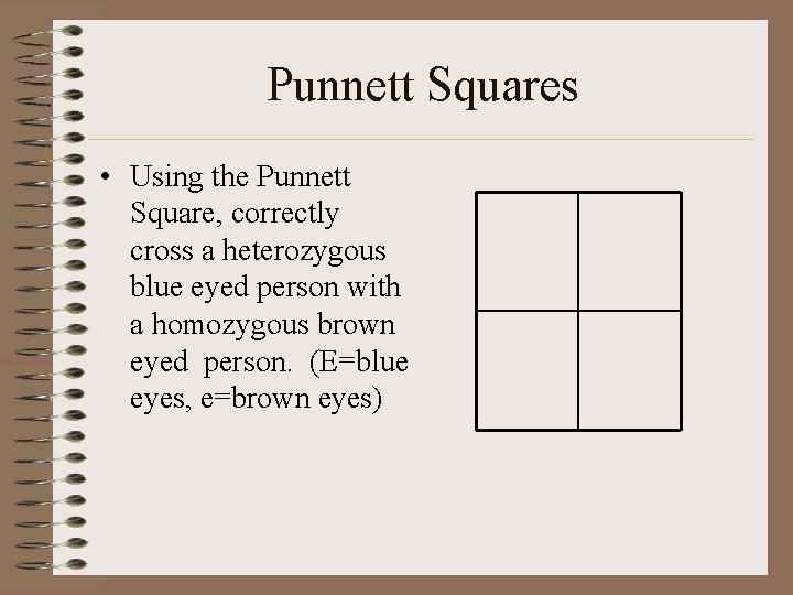 Punnett Squares • Using the Punnett Square, correctly cross a heterozygous blue eyed person