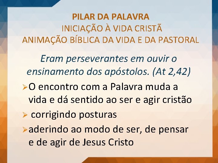 PILAR DA PALAVRA INICIAÇÃO À VIDA CRISTÃ ANIMAÇÃO BÍBLICA DA VIDA E DA PASTORAL