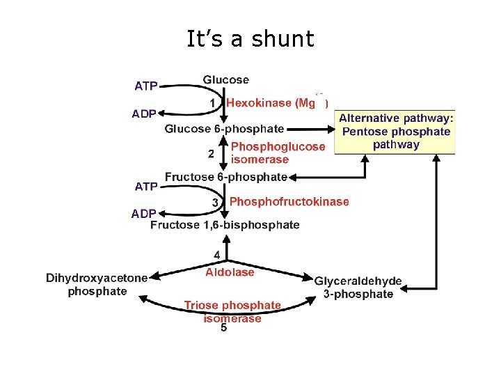 It’s a shunt 