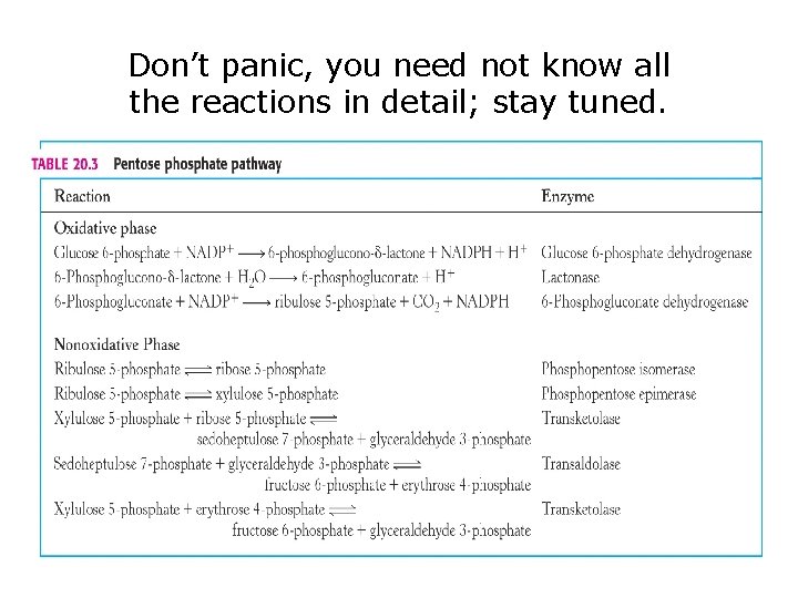 Don’t panic, you need not know all the reactions in detail; stay tuned. 