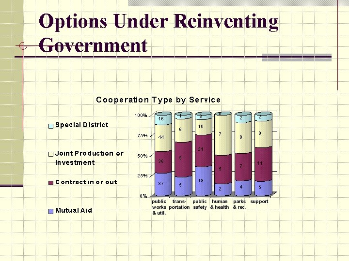 Options Under Reinventing Government 
