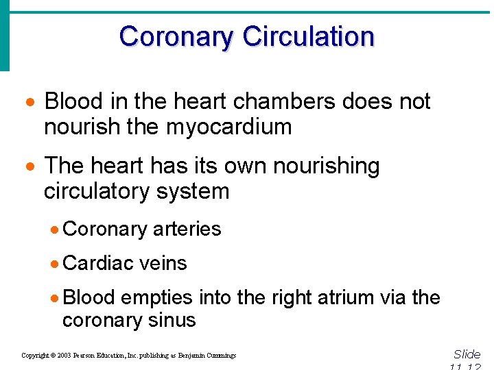Coronary Circulation · Blood in the heart chambers does not nourish the myocardium ·