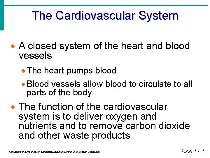 The Cardiovascular System · A closed system of the heart and blood vessels ·