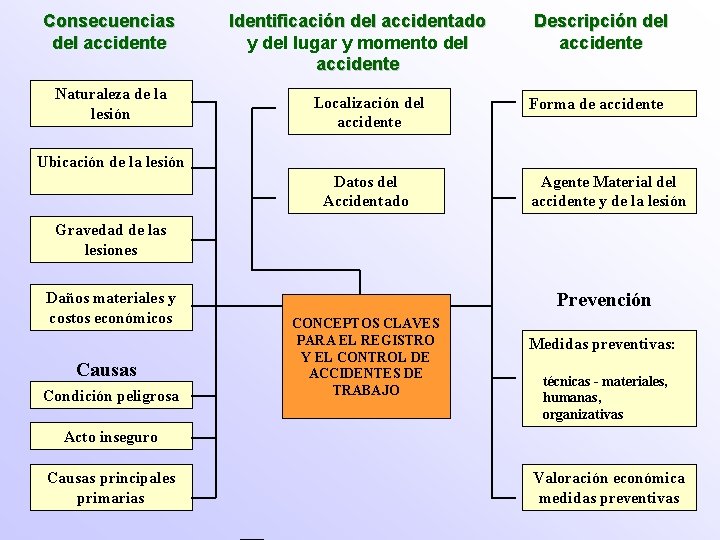 Consecuencias del accidente Naturaleza de la lesión Identificación del accidentado y del lugar y