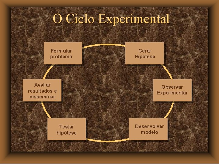 O Ciclo Experimental Formular problema Avaliar resultados e disseminar Testar hipótese Gerar Hipótese Observar