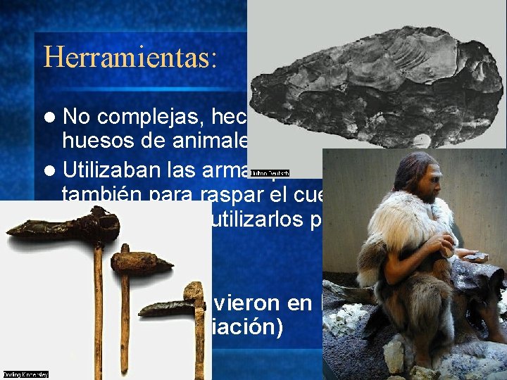 Herramientas: l No complejas, hechas de piedras o huesos de animales. l Utilizaban las