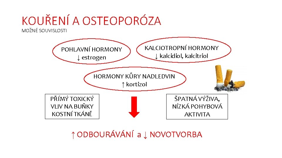 KOUŘENÍ A OSTEOPORÓZA MOŽNÉ SOUVISLOSTI POHLAVNÍ HORMONY ↓ estrogen KALCIOTROPNÍ HORMONY ↓ kalcidiol, kalcitriol