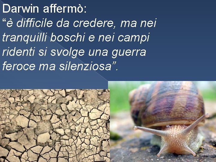 Darwin affermò: “è difficile da credere, ma nei tranquilli boschi e nei campi ridenti