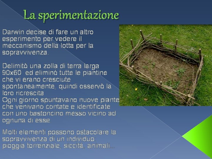 La sperimentazione Darwin decise di fare un altro esperimento per vedere il meccanismo della