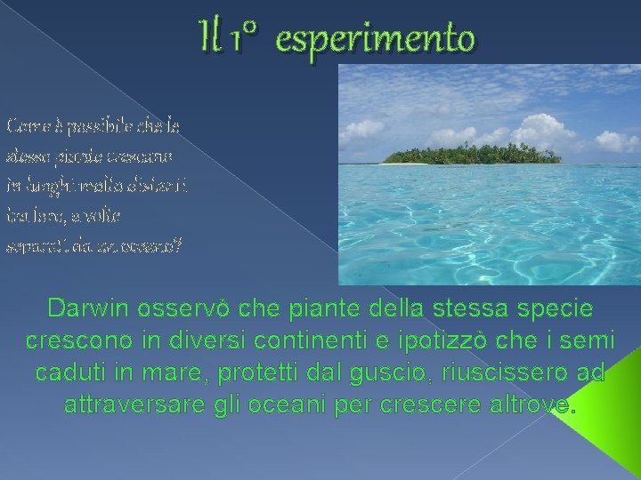 Il 1° esperimento Come è possibile che le stesse piante crescano in luoghi molto
