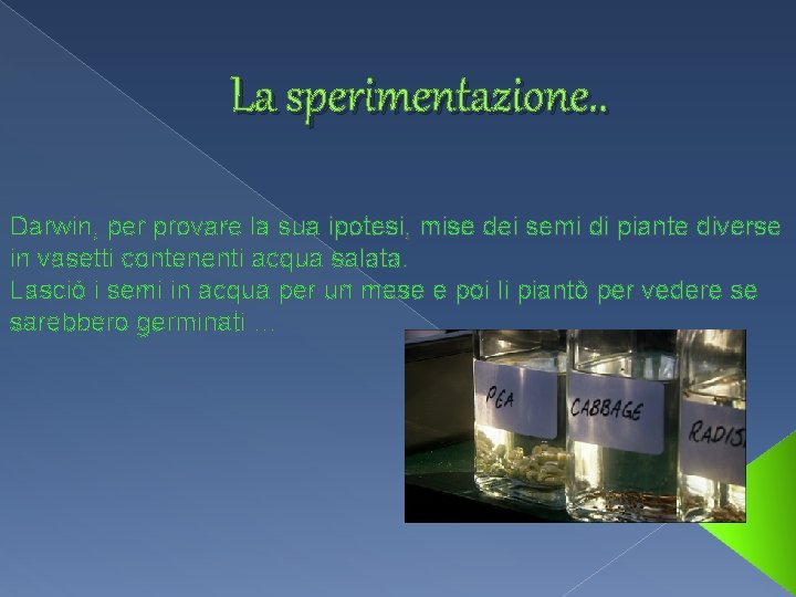 La sperimentazione. . Darwin, per provare la sua ipotesi, mise dei semi di piante