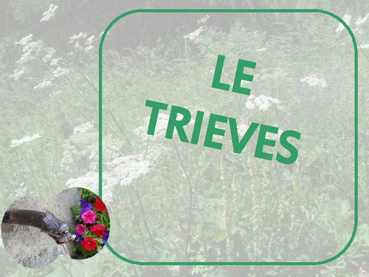 LE TRIEVE S 