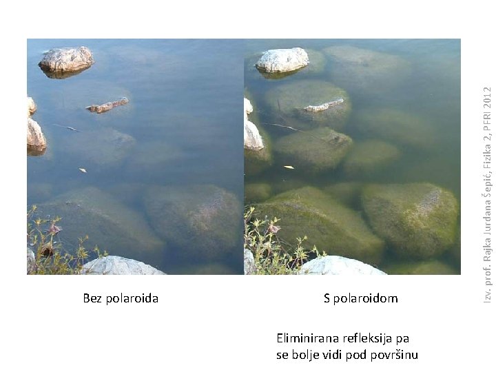 S polaroidom Eliminirana refleksija pa se bolje vidi pod površinu Izv. prof. Rajka Jurdana