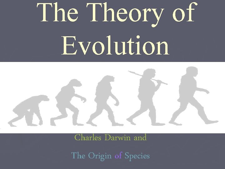 The Theory of Evolution Charles Darwin and The Origin of Species 