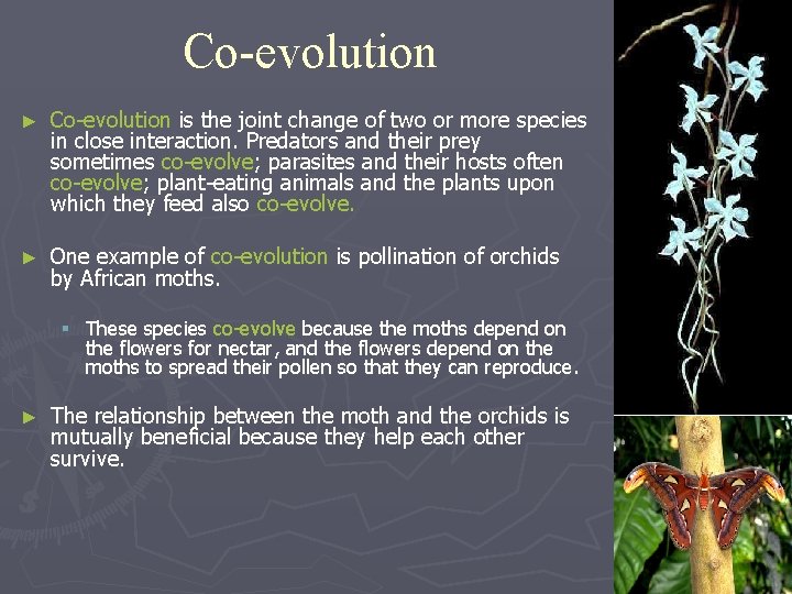 Co-evolution ► Co-evolution is the joint change of two or more species in close