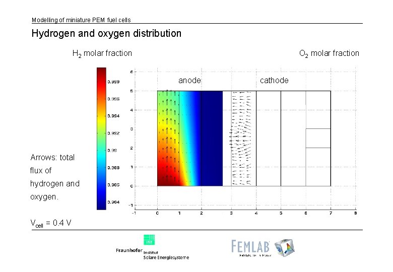 Modelling of miniature PEM fuel cells Hydrogen and oxygen distribution H 2 molar fraction