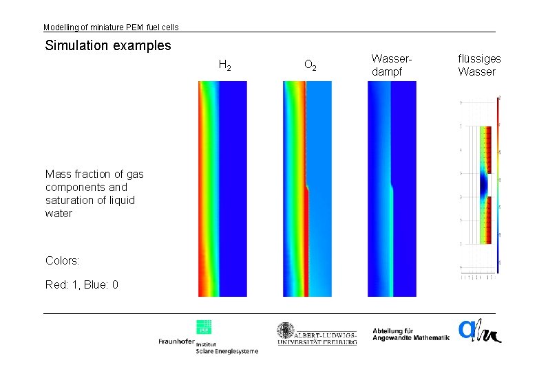 Modelling of miniature PEM fuel cells Simulation examples H 2 Mass fraction of gas