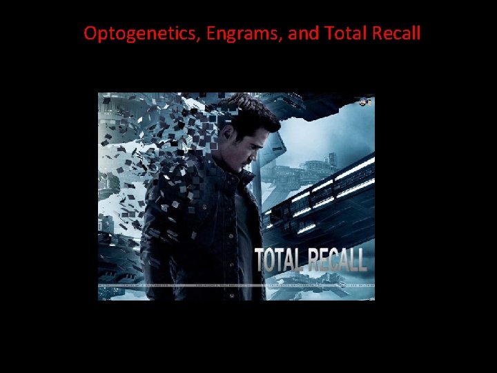 Optogenetics, Engrams, and Total Recall 