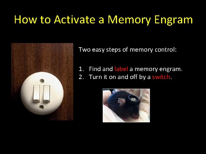 How to Activate a Memory Engram Two easy steps of memory control: 1. Find