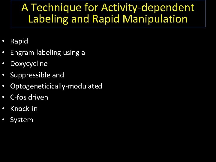 A Technique for Activity-dependent Labeling and Rapid Manipulation • • Rapid Engram labeling using