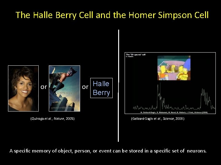 The Halle Berry Cell and the Homer Simpson Cell or (Quiroga et al. ,