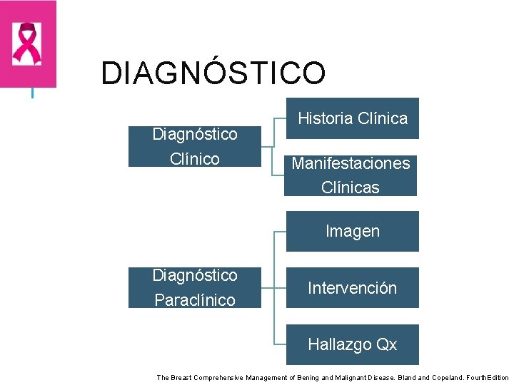 DIAGNÓSTICO Diagnóstico Clínico Historia Clínica Manifestaciones Clínicas Imagen Diagnóstico Paraclínico Intervención Hallazgo Qx The