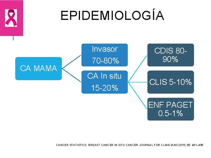 EPIDEMIOLOGÍA CA MAMA Invasor 70 -80% CDIS 8090% CA In situ 15 -20% CLIS