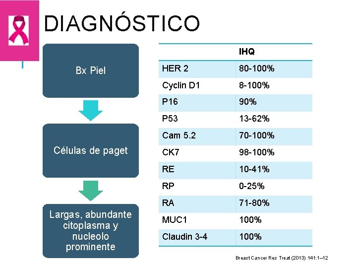 DIAGNÓSTICO IHQ Bx Piel Células de paget Largas, abundante citoplasma y nucleolo prominente HER