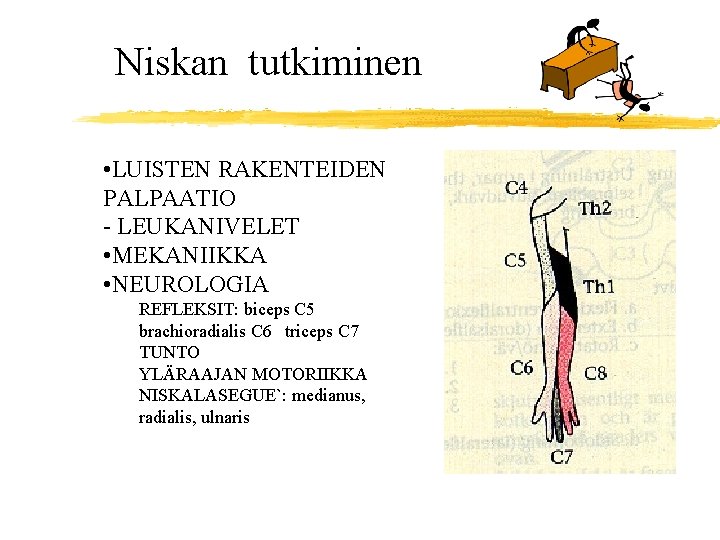 Niskan tutkiminen • LUISTEN RAKENTEIDEN PALPAATIO - LEUKANIVELET • MEKANIIKKA • NEUROLOGIA REFLEKSIT: biceps