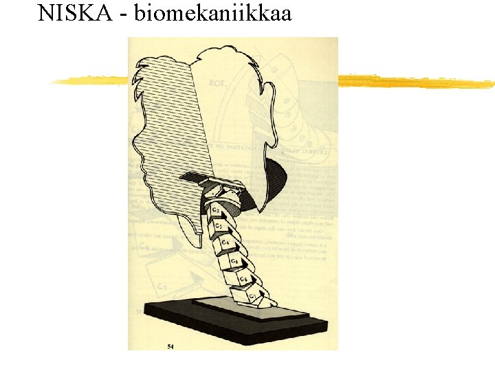 NISKA - biomekaniikkaa 