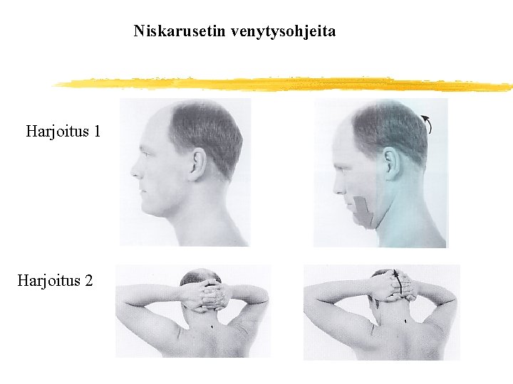 Niskarusetin venytysohjeita Harjoitus 1 Harjoitus 2 