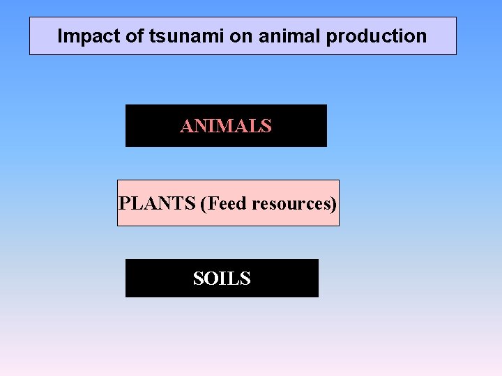 Impact of tsunami on animal production ANIMALS PLANTS (Feed resources) SOILS 